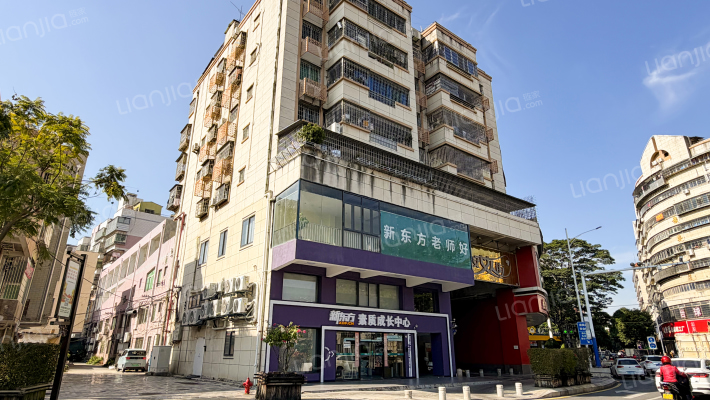 松柏林街外景图