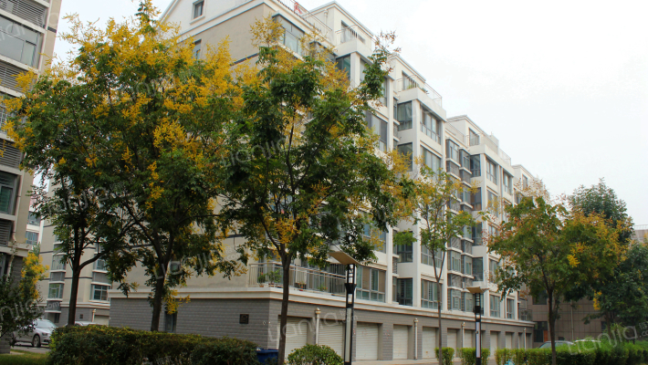 浩然上海城外景图