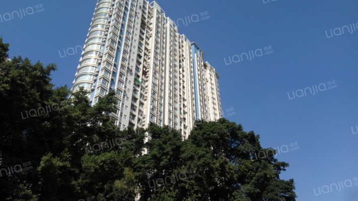 大东门华庭外景图