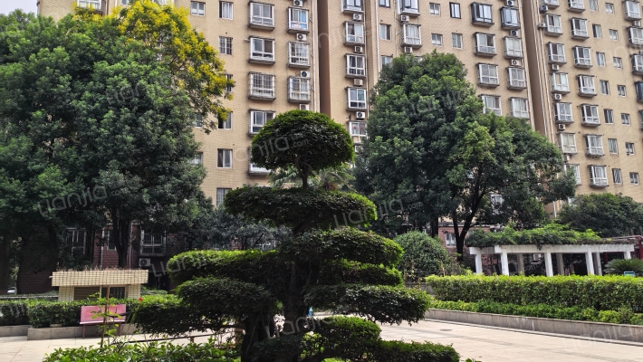 常青藤一期外景图