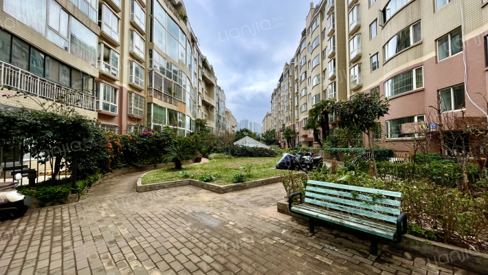 五彩点金苑外景图