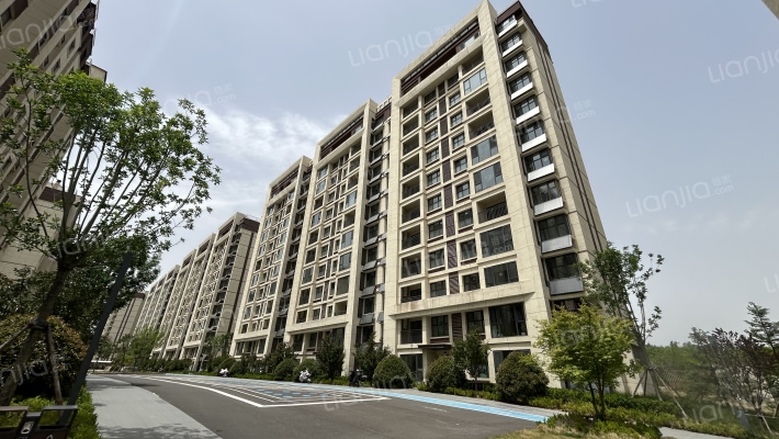 龙山华府外景图