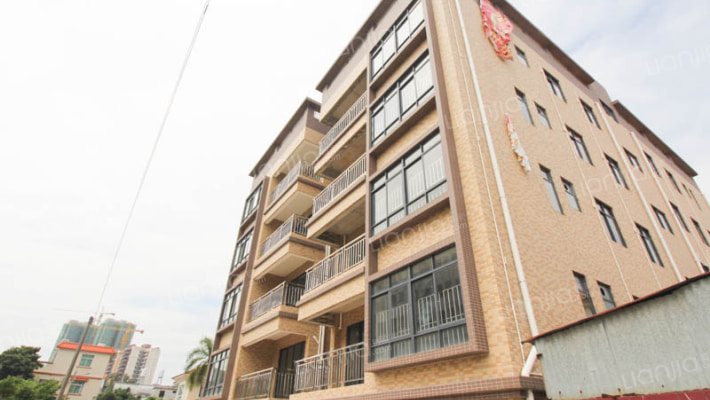 大布自建房外景图