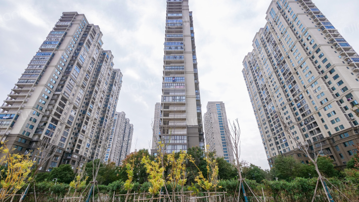 君汇半岛外景图