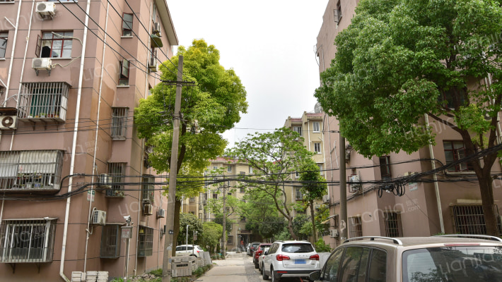 梅陇十一村外景图