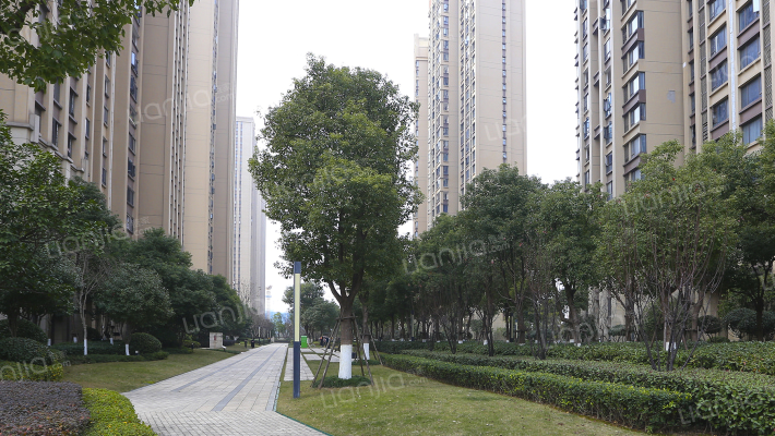 阳光城尚东湾外景图