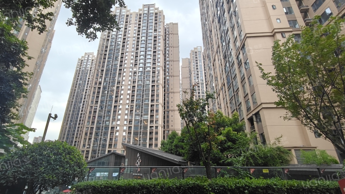 滨江琉森 外景图