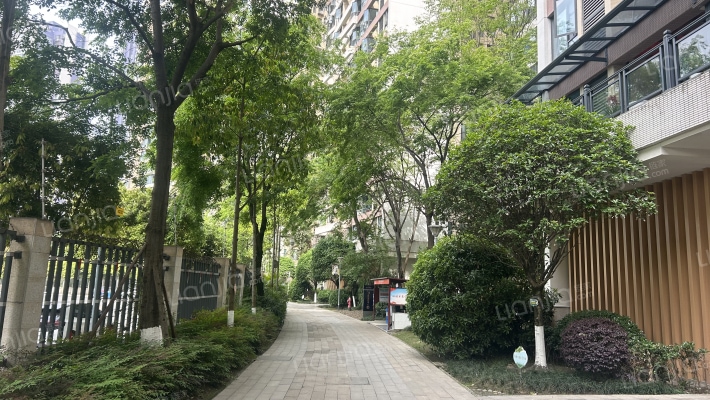 千禧河畔D区外景图