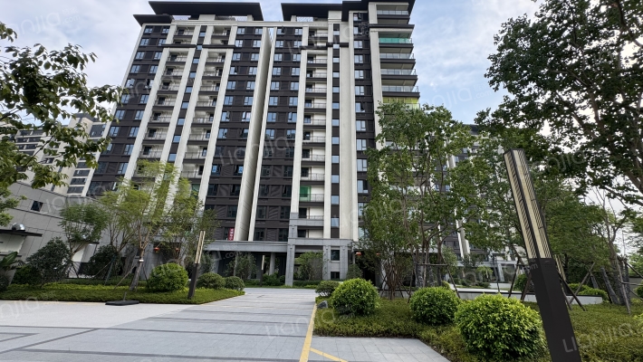 融信海月江南外景图