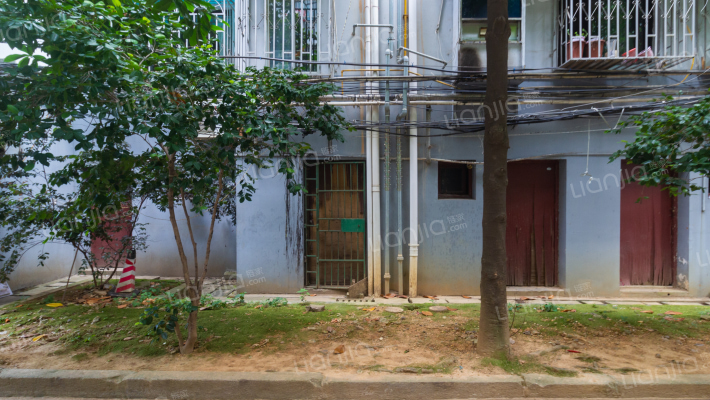 省工商局院内宿舍外景图