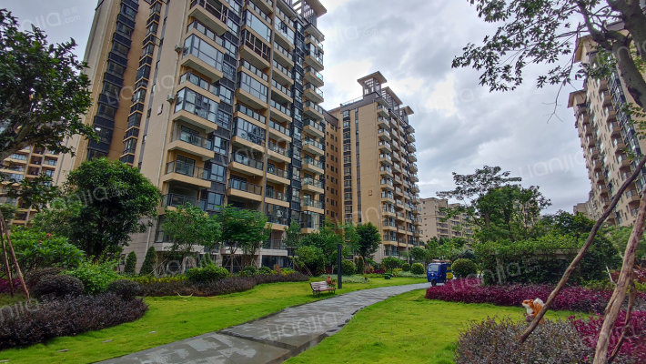 港岛花园外景图