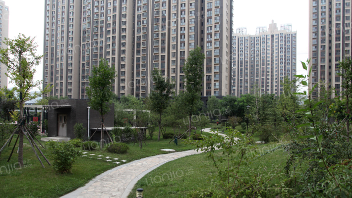 首开国风上观外景图