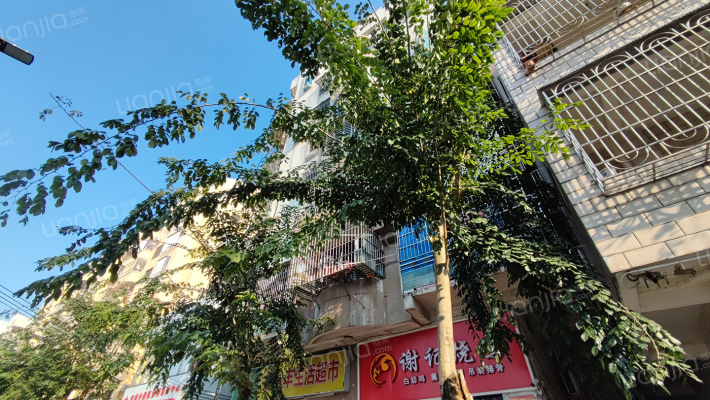 月朗新村二巷外景图