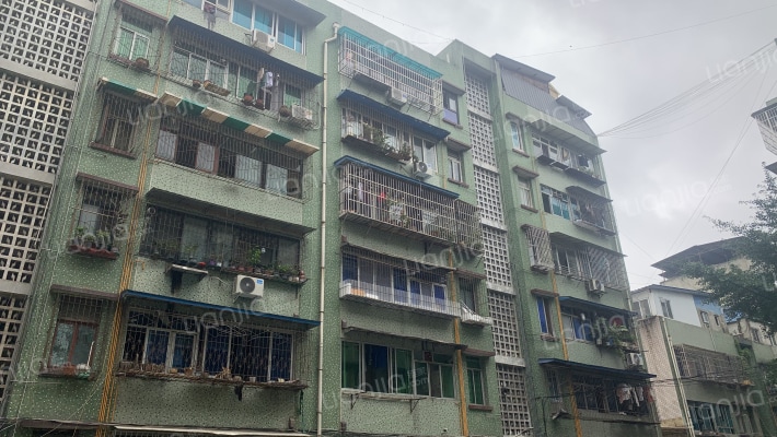 安仁街54号外景图