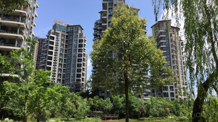 麓山国际橡树坡外景图