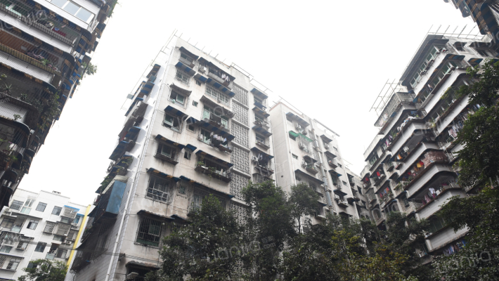 龙康街115号外景图