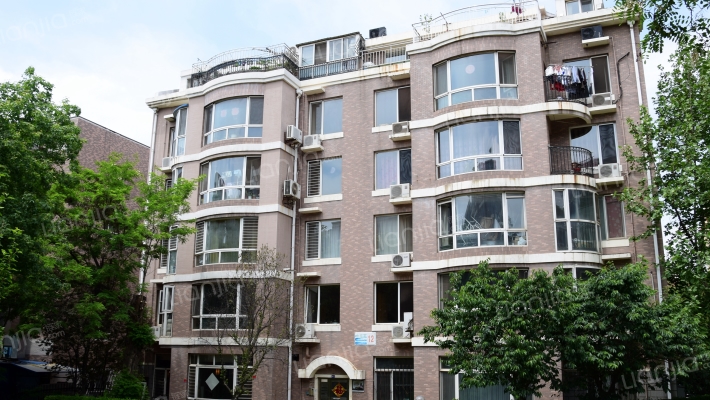 水仙花园(西岗)外景图