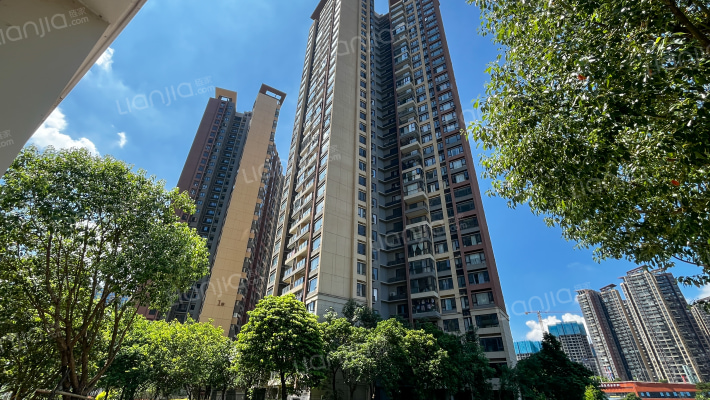 星河丹堤S2区外景图