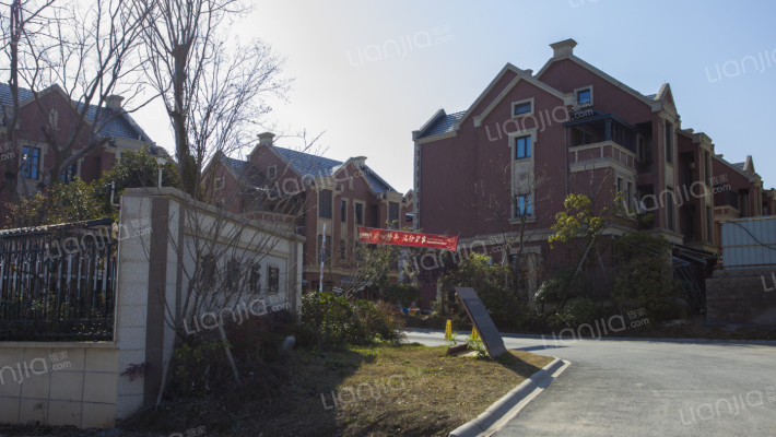 观唐花园外景图