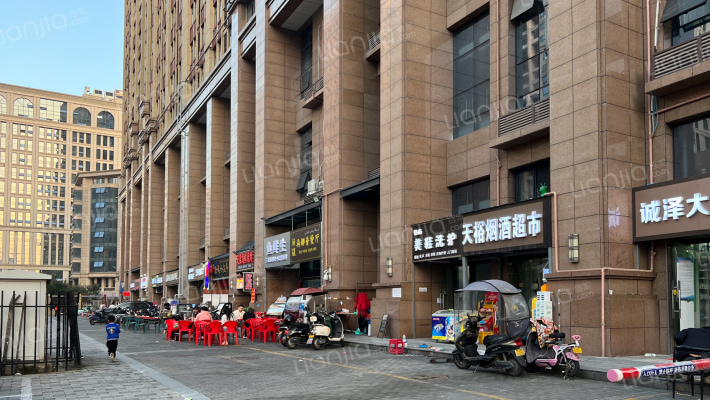 盛龙天誉外景图