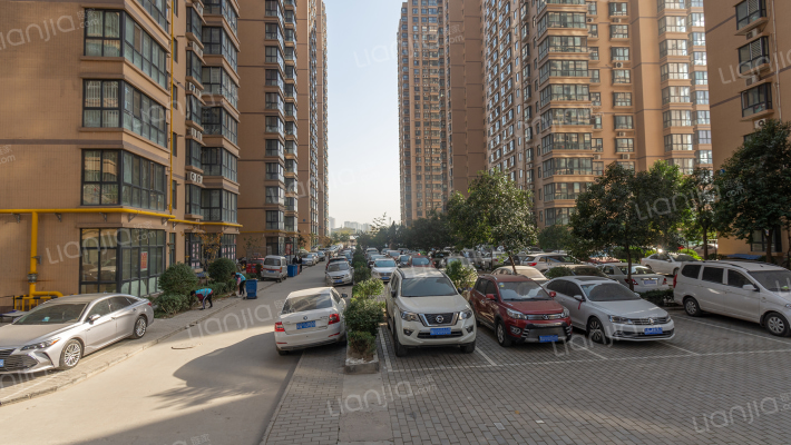 百合花园外景图