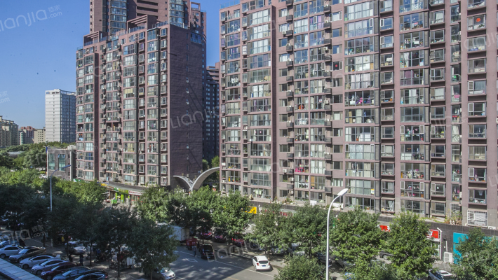 新通国际花园外景图