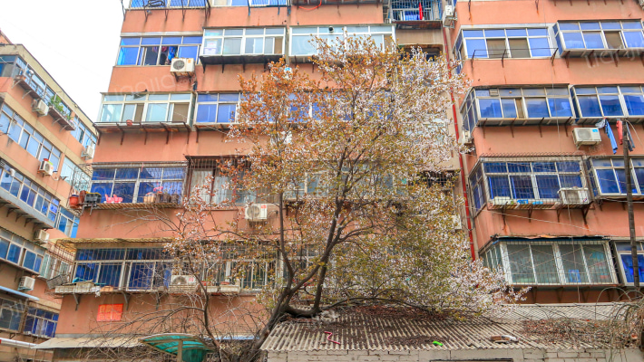 郑州联运家属院外景图