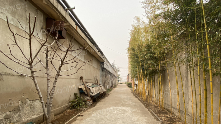 盐务局宿舍外景图