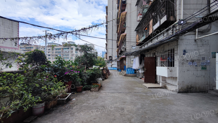 解放路124号外景图