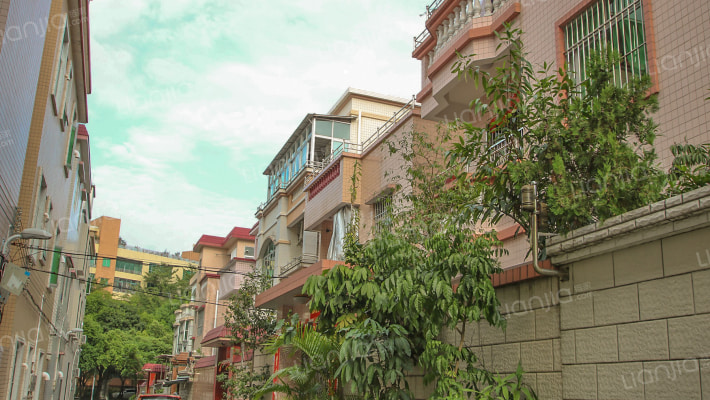 丹桂街四巷外景图