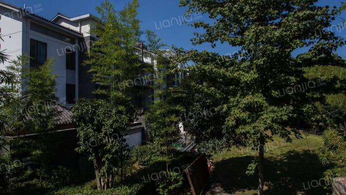 宝安江南村外景图