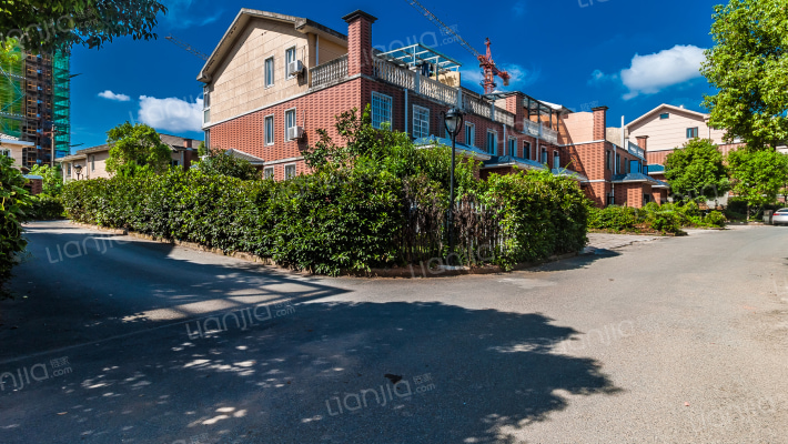 三清玫瑰园外景图