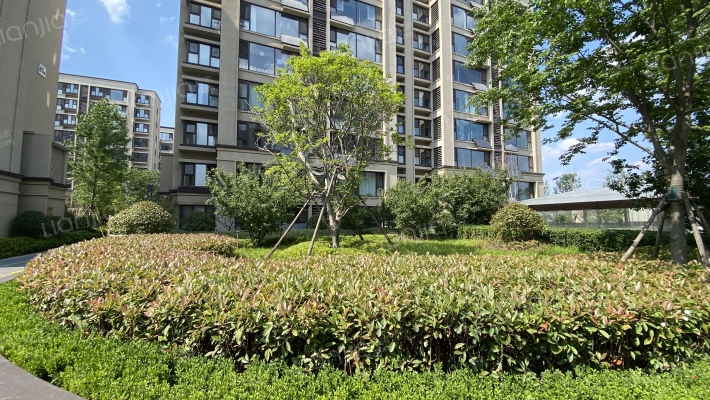 金科弘阳·集美时光外景图