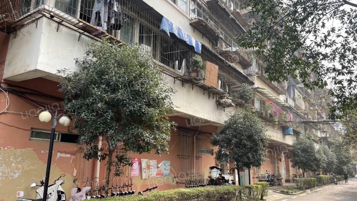 槐树店37号外景图