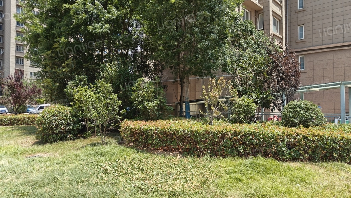 荆山安置小区二期外景图