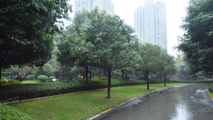 金科世界城高层区（南岸）外景图