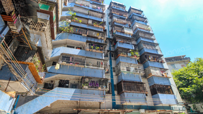 园林局宿舍外景图