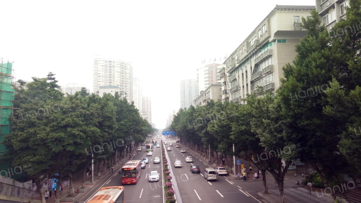 中山八路外景图