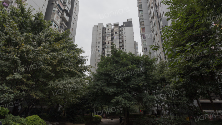 金杜洋光外景图