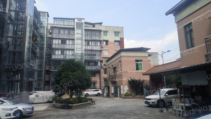 牡丹巷48号外景图