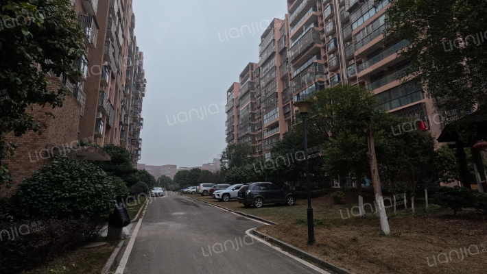 岸芷汀兰外景图