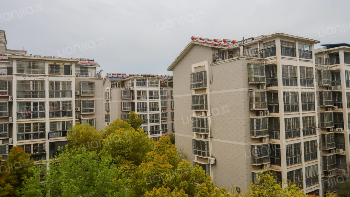 金湾名庭外景图