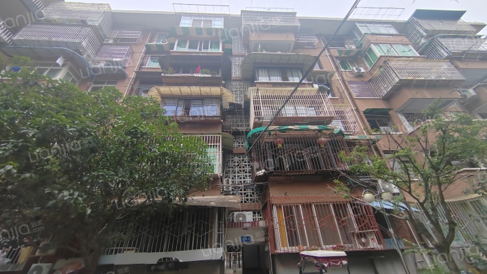 正西街162号外景图