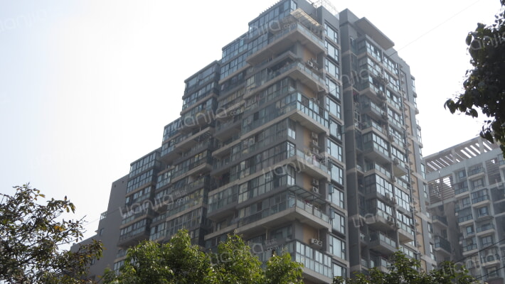 廊桥乐章外景图