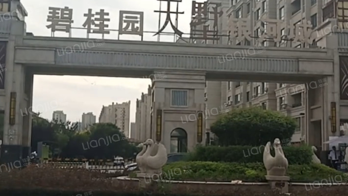 碧桂园银河城天墅一期外景图