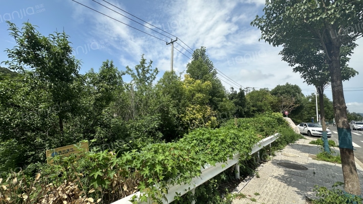 桃花源里外景图