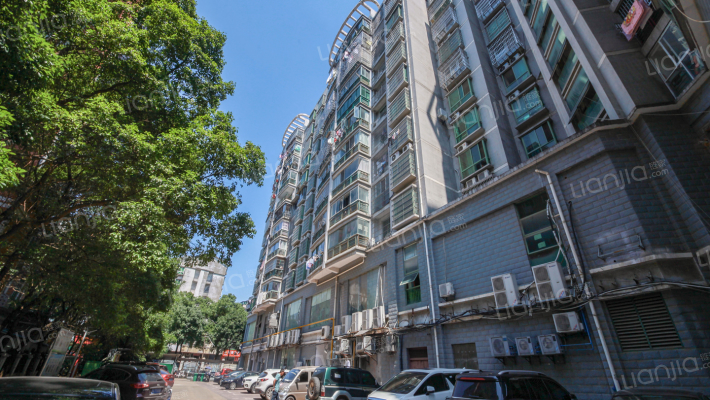 碧湖银座外景图