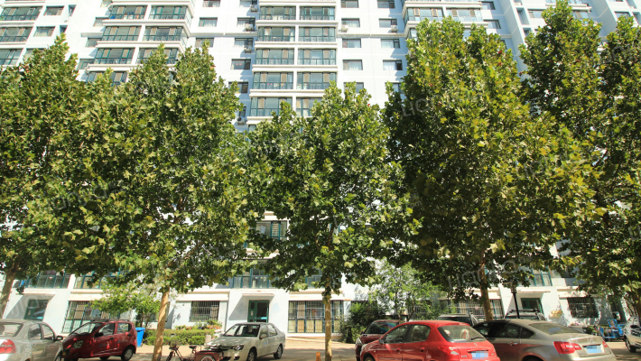 银枫小区外景图