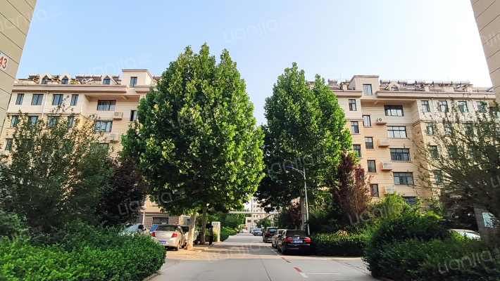 刘辛●新新家园B区外景图