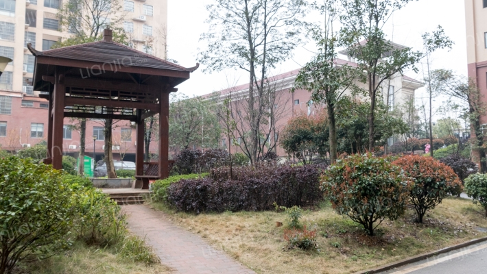 新雅黄金苑外景图